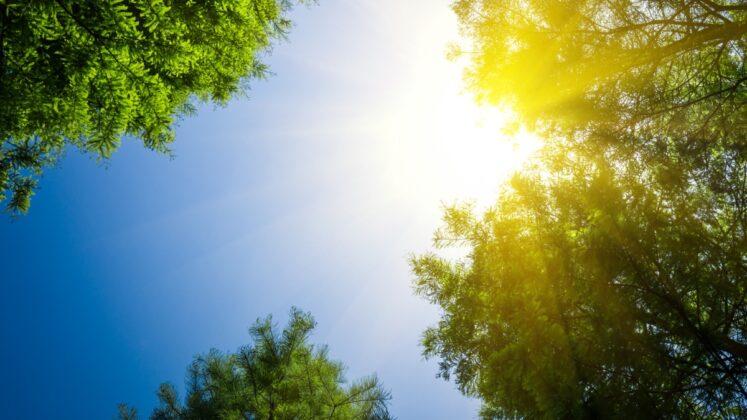 Danas na jugu sunce, na sjeveru oblačno i suvo